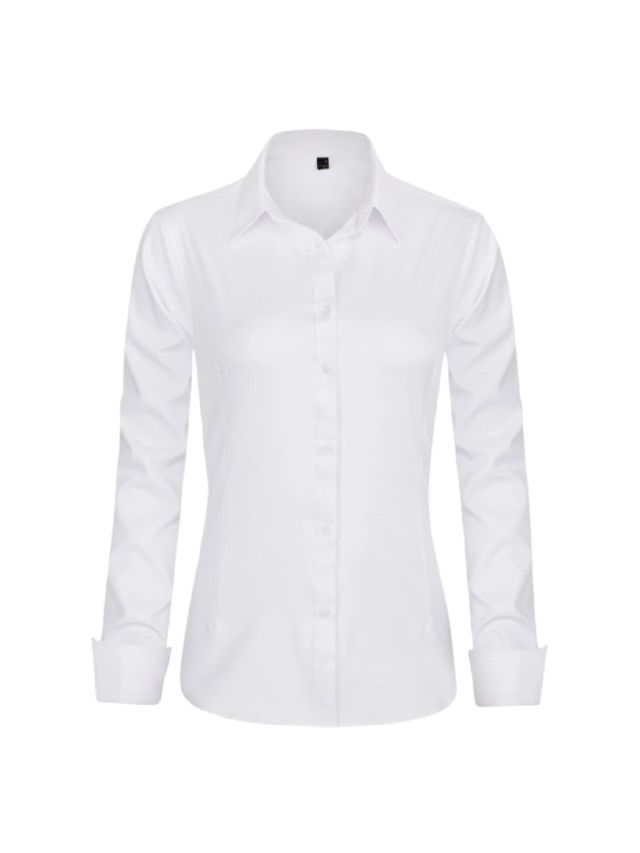 Wrinkle Free Button Down Shirt